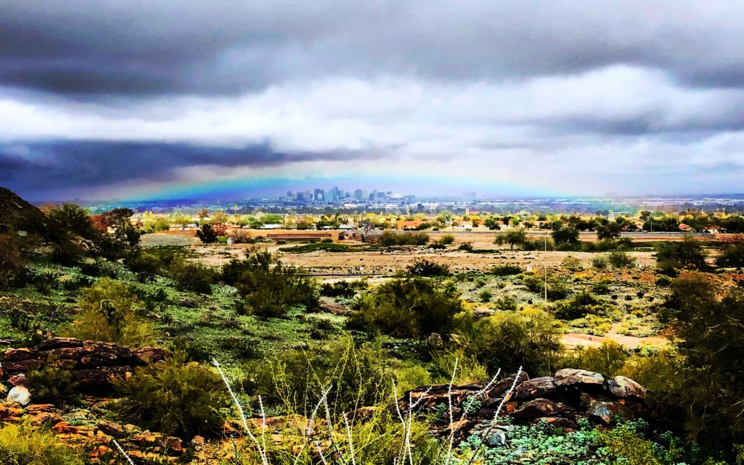 Desert in the foreground, downtown Phoenix in the background, rainbow overhead